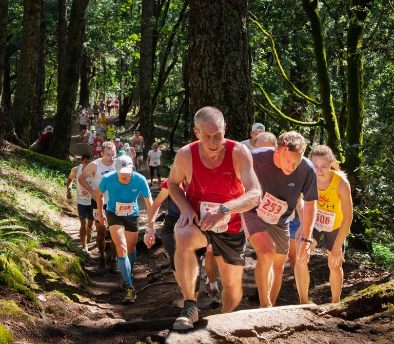 مسابقهٔ دیپسیا (Dipsea Race)